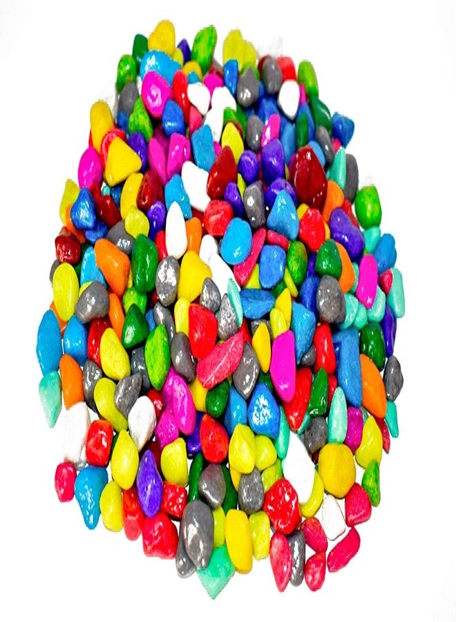 Ercole® Multicolour Pebbles Stone for Decoration Garden Plants Pots Home Table Decoration & Garden Outdoor Decoration (3Kg) - Image 1